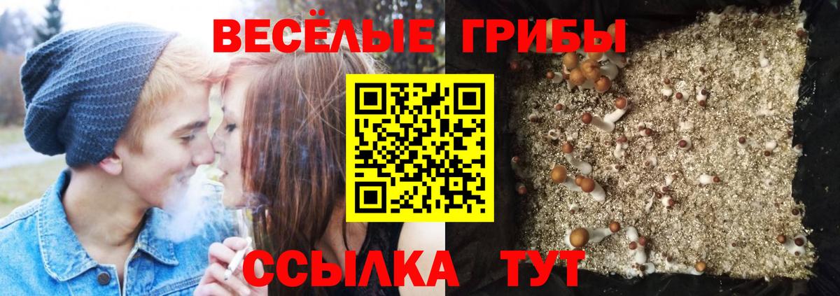 Лесной  Галлюциногенные грибы мухоморы  Вход с VPN 